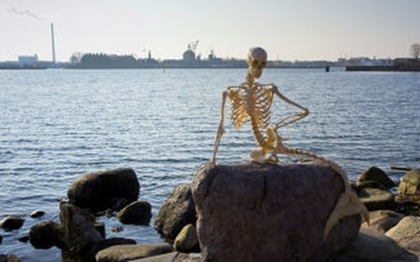 На набережной Копенгагена установили «скелет» Русалочки