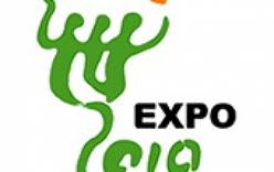 Малайзия примет участие в World Expo 2010, которая открывается 1 мая в Шанхае