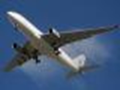 Из-за нетрезвых российских пассажиров самолет совершил вынужденную посадку