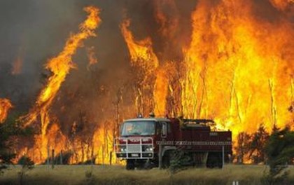 Лесной пожар на Ибице отрезал выход с пляжа сотням туристам