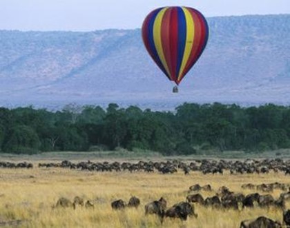 Танзания ввела временный запрет на полеты на воздушных шарах на территории национального парка