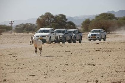 В Израиле пройдет женская джип-экспедиция «Королева пустыни 2010»
