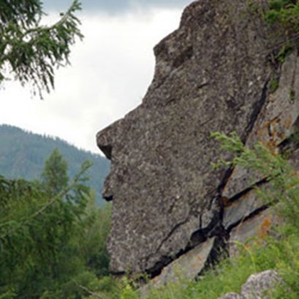 В январе 2011 года в Чили стартует первая программа научного туризма