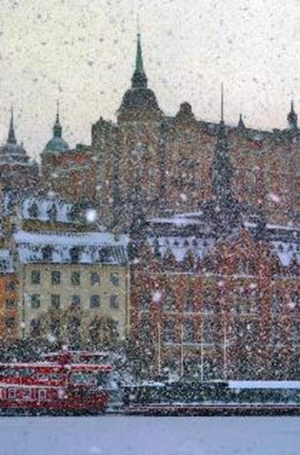 В Стокгольме выпал первый розовый снег