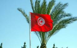 Тунис возьмется за российский рынок всерьез