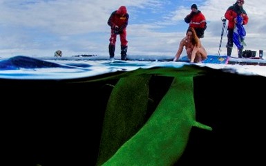 Чемпионка поплавала с китами в Арктике голышом