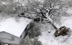 В США снежный шторм оставил без света 3 миллиона домов