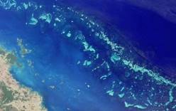Большой барьерный риф превратят в гигантский заповедник