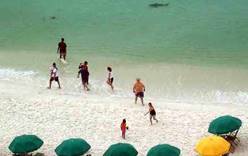 На пляже во Флориде на подростков напали акулы