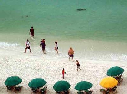 На пляже во Флориде на подростков напали акулы