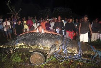 Плененный филиппинский крокодил попал в книгу Гиннеса