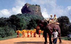 МИД предупредил туристов об опасной лихорадке на Шри-Ланке