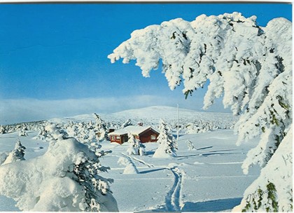 В эти выходные Норвегия открывает горнолыжный сезон!