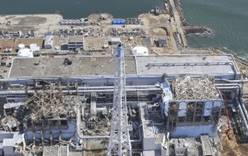 На Фукусиме планируют проводить экскурсии
