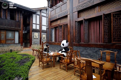 Панда-отель откроют в Китае