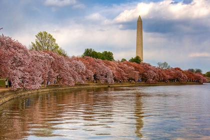 Вашингтон ожидает до 1,2 млн. посетителей