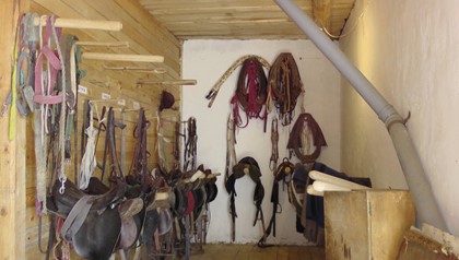 Интерактивный музей «Все о лошадях» открылся недалеко от Галича