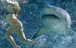 Французскую туристку погубила акула