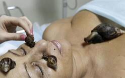 Япония предлагает косметический курс «улиткотерапии»