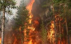 Лесные пожары в Греции продолжаются