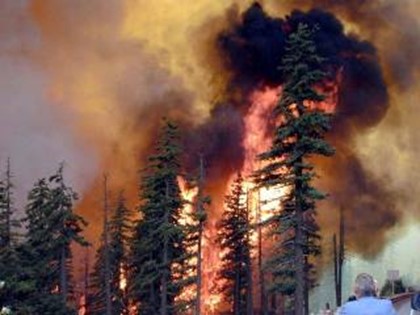 Лесной пожар в США добрался до парка Йосемити