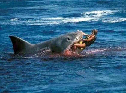 Два человека пострадали от акулы во Флориде