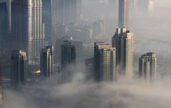 Из-за густого тумана в Дубае произошло 289 ДТП