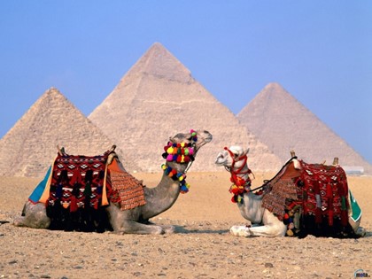 Доходы Египта от иностранного туризма упали на 41%