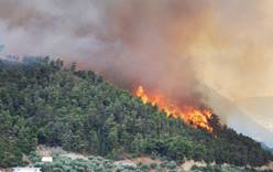 В Анталии в результате лесного пожара сгорели 4 отеля