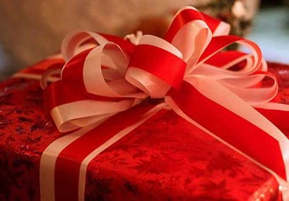 Швед пожаловался на мать в полицию за неудачный подарок к Рождеству