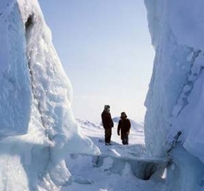 Депутаты Госдумы потерялись в Антарктиде