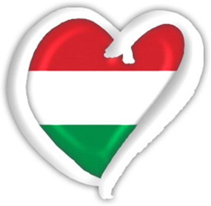 В Казани открылось венгерское консульство