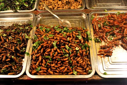 В швейцарских супермаркетах будут продавать насекомых