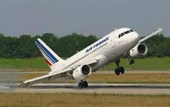 Самолет Air France экстренно сел в Лионе