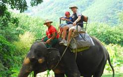 В Таиланде слон украл семью туристов