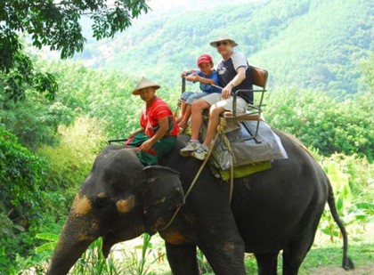 В Таиланде слон украл семью туристов