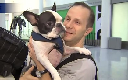 Самолет Air Canada совершил экстренную посадку ради собаки