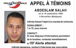 Полиции Бельгии удалось задержать подозреваемого в организации терактов в Париже