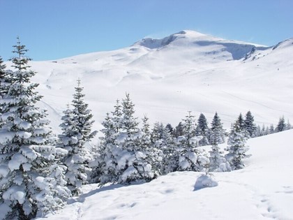 Турецкие горнолыжные курорты разоряются без россиян