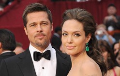 Стала известна причина развода Анджелины Джоли и Брэда Питта