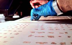 В Израиле запускают цифровой проект по изучению Кумранских рукописей