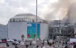 В аэропорту Брюсселя произошла серия взрывов