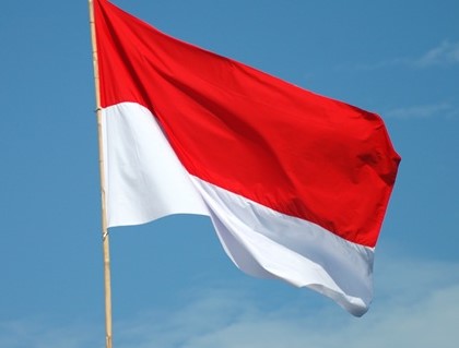 В Индонезии россиянина задержали за кражу флага