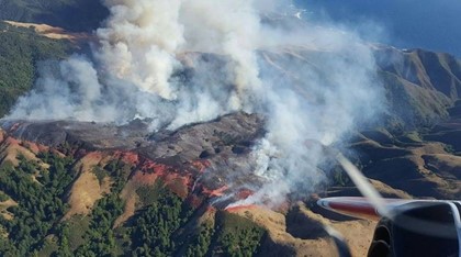 В Израиле жителей эвакуируют из-за лесных пожаров