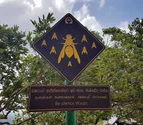 На Шри-Ланке на российских туристов напали осы