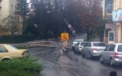Штормовой ветер повалил деревья и дорожные знаки в Сочи