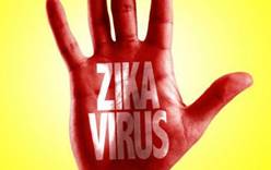Список стран, неблагополучных в отношении вируса Зика