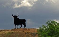 Верховный суд Испании не признал быка официальным символом страны