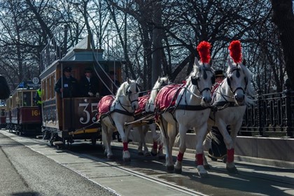 Уникальный конный вагон представят гостям выставки ретротранспорта в Москве
