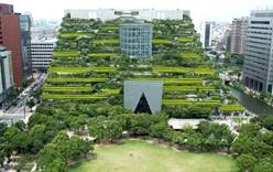 Зелёный дом в префектуре Фукуока, в Японии, обещает урожай